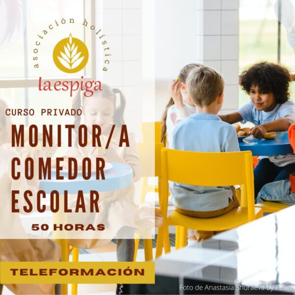 Curso Online Monitor/a de Comedor Escolar