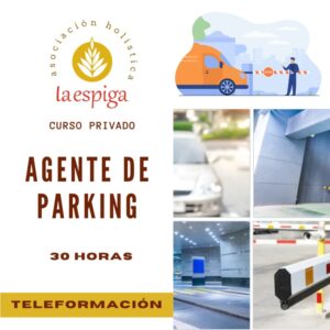 Curso Online de Agente de Parking